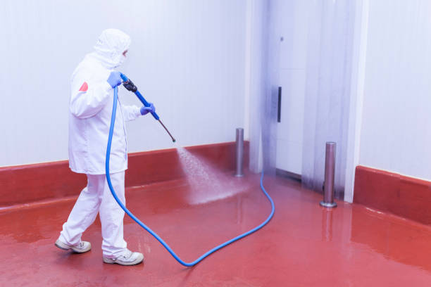 Playground Equipment Cleaning in Lockport Heights, LA