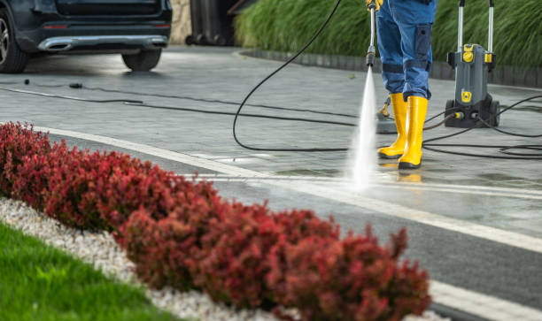 Best Solar Panel Cleaning  in Lockport Heights, LA